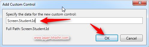 data for the custom control